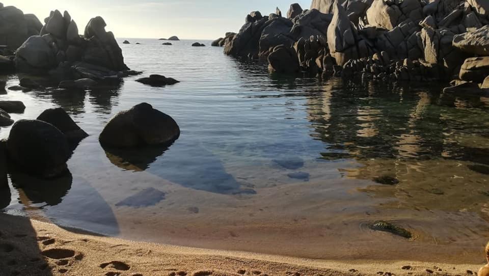 Da Patrizia Hotell Santa Teresa Gallura Eksteriør bilde