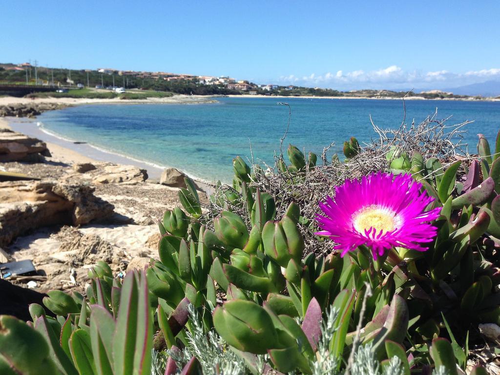 Da Patrizia Hotell Santa Teresa Gallura Eksteriør bilde